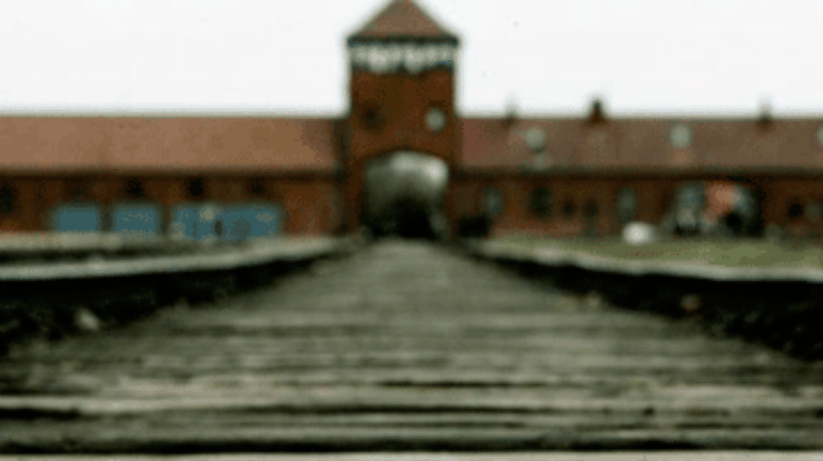 DW: Германия выплатит компенсации жертвам Холокоста из Восточной Европы