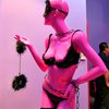 Остановка игр в НХЛ увеличила доходы канадских секс-шопов