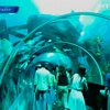 В Сингапуре открыли крупнейшую подводную смотровую площадку