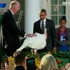 Сегодня американцы отмечают День благодарения