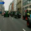 Европейские фермеры оккупировали Брюссель