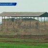 Жители села на Хмельнитчине 7 лет не могут забрать своих коров из общего хлева