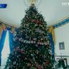 Белый дом загорелся рождественскими огнями