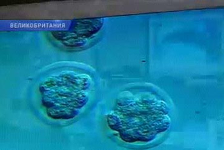 Европейские женщины все чаще идут на криоконсервацию яйцеклеток