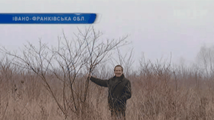 Жители села на Прикарпатье судятся с арендаторами земли