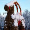 В Швеции к соломенной рождественской козе приставили охрану