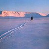 Заблудившиеся россияне съели своих товарищей в тайге