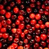 Россиянин пытался заплатить приставам по долгам клюквой