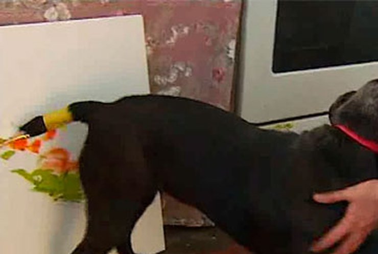 В киевском приюте для бездомных собак появились четырехлапые художники