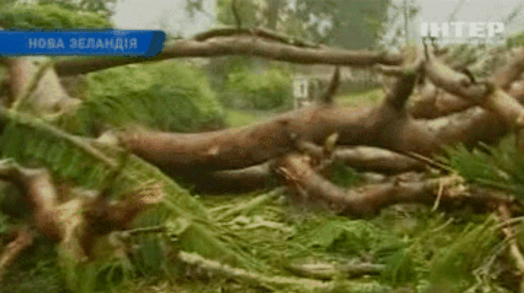 Торнадо в Новой Зеландии унес жизни 3 человек