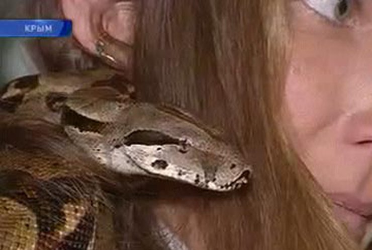 В Крыму выбрали самую красивую змею