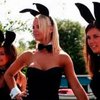 Playboy разработал скромный костюм кролика для индийских клубов