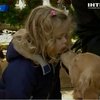 Лабрадоры помогут американским детям оправиться после трагедии в школе