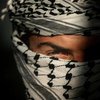 В Эмиратах обезвредили террористическую группировку, входившую в "Аль-Каиду"