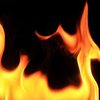 Во львовском ботаническом саду горит дом