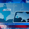 На Ивано-Франковщине глухонемой пошел за елкой и замерз в лесу