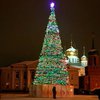 Житель Тулы обчистил городскую елку