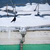 В Житомире глыба льда проломила девушке голову
