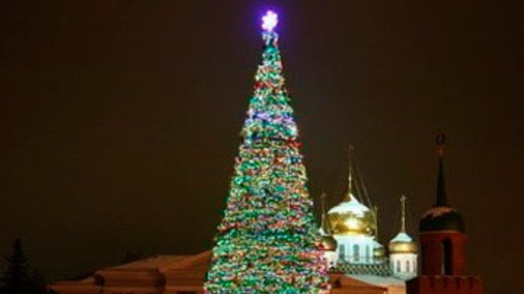 Житель Тулы обчистил городскую елку