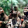 В Колумбии ликвидированы 13 боевиков ФАРК