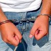 На Житомирщине задержали группу серийных воров