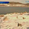 В Черновицкой области вспыхнул земельный конфликт