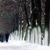 На Тернопольщине замерз насмерть 46-летний мужчина