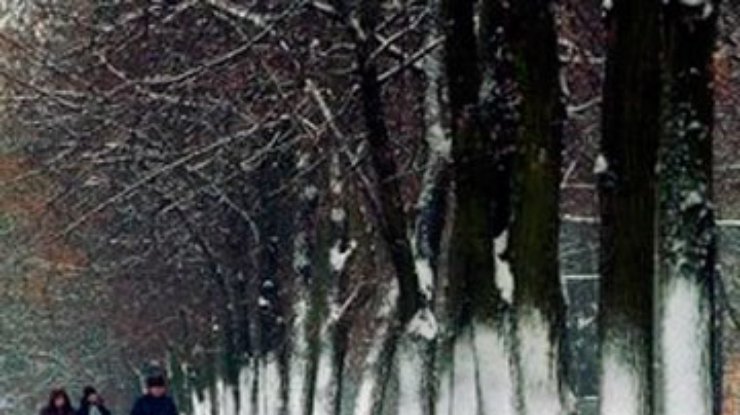 На Тернопольщине замерз насмерть 46-летний мужчина