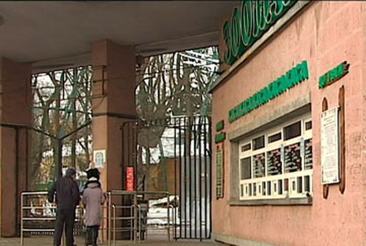 Обитатели киевского зоопарка остались без еды