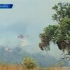 Австралию охватили лесные пожары