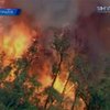 В Австралии начались масштабные пожары