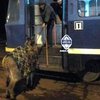 Одессит пытался прокатиться в трамвае с ослом