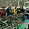 В США предложили запретить продажу оружия населению
