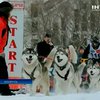 В Беларуси прошли международные гонки на собачьих упряжках