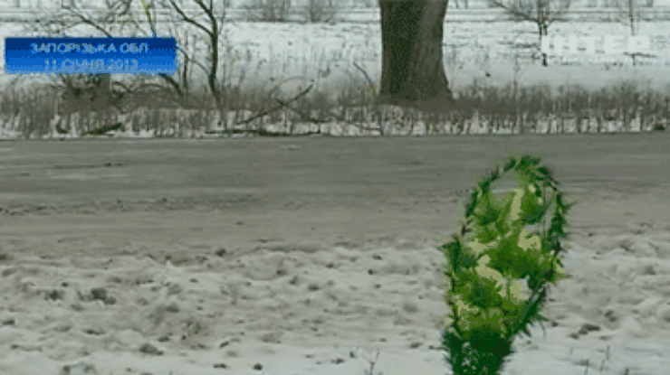За рулем лексуса