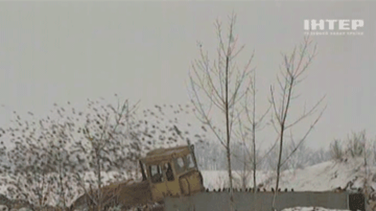 Аэропорт "Борисполь" страдает от засилия птиц