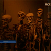 Из итальянского антропологического музея могут забрать скелеты преступников