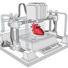 В Шотландии на 3D-принтере напечатали первые органы