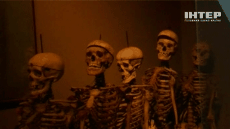 Из итальянского антропологического музея могут забрать скелеты преступников