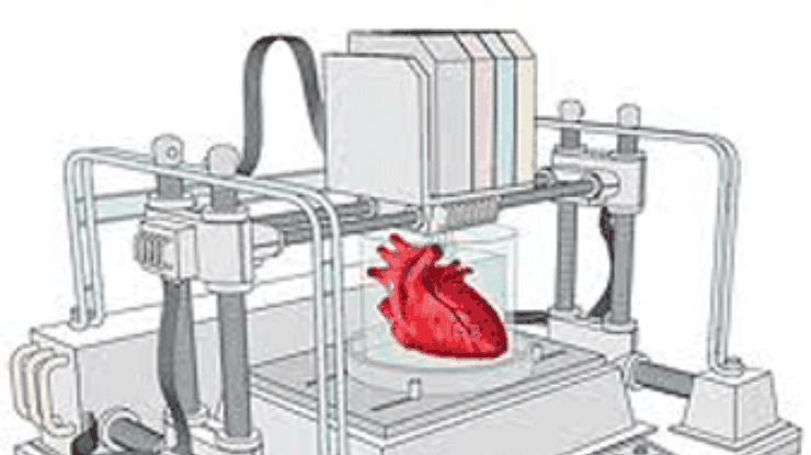 В Шотландии на 3D-принтере напечатали первые органы