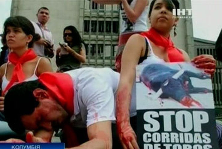 Колумбийские защитники животных требуют запретить корриду