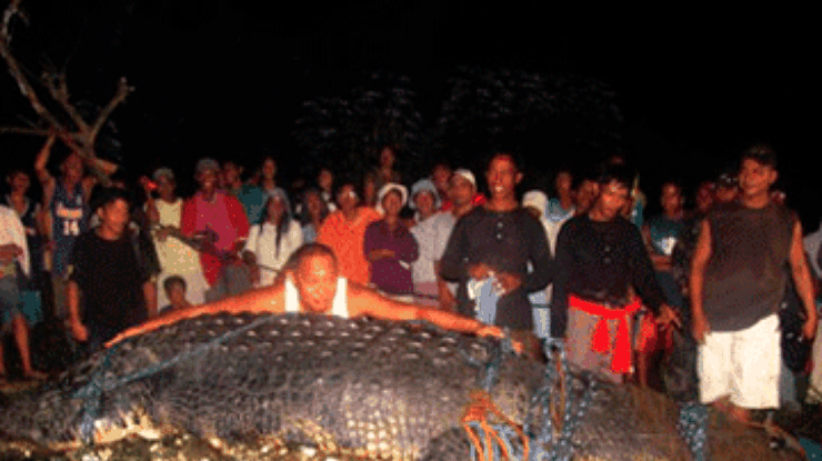 На Филиппинах испустил дух самый большой в мире крокодил