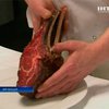 Из-за скандала с мясом в Европе снизились цены на конину