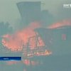 Сильные лесные пожары угрожают мегаполису в Чили