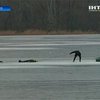 В Днепропетровске под лед провалились двое рыбаков