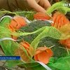 Экологи предложили дарить букеты из овощей