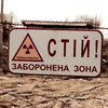 Slate.fr: Чернобыльские животные светятся в темноте?