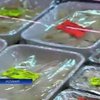 В продукции швейцарской компании обнаружили опасную конину