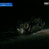 Из-за отказа тормозов под Феодосией разбился автомобиль: Погибла молодая девушка