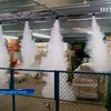Британские ученые придумали, как спасти американцев от стрельбы в школах